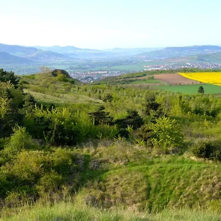 Maison Du Vigneron Saint-martin Apartman *